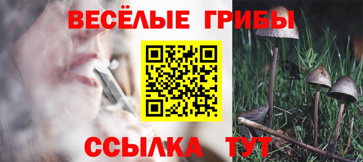 Курчатов  Псилоцибиновые грибы мухоморы  Галлюциногенные грибы GOLDEN TEACHER  Вход с VPN 